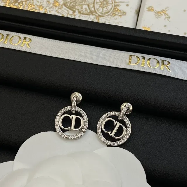 Dior CD Icon Silver White Crystal-Pavé Circle Monogram Necklace 5