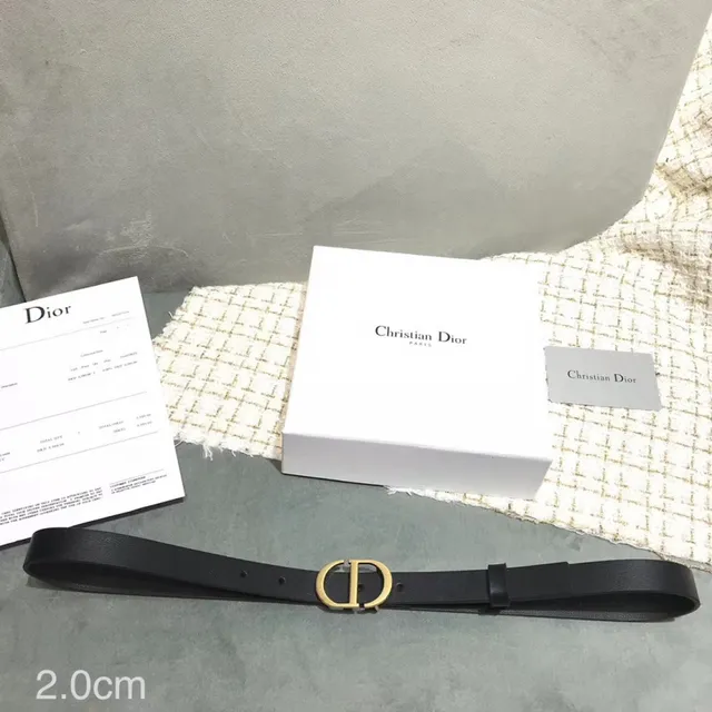 Dior D-Shaped Buckle Belt Black Gold Strap Leather Belt 15