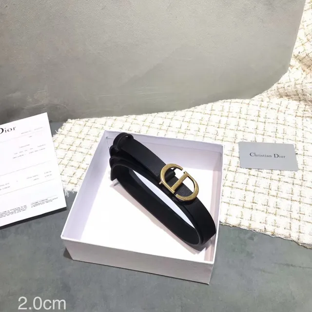 Dior D-Shaped Buckle Belt Black Gold Strap Leather Belt 19