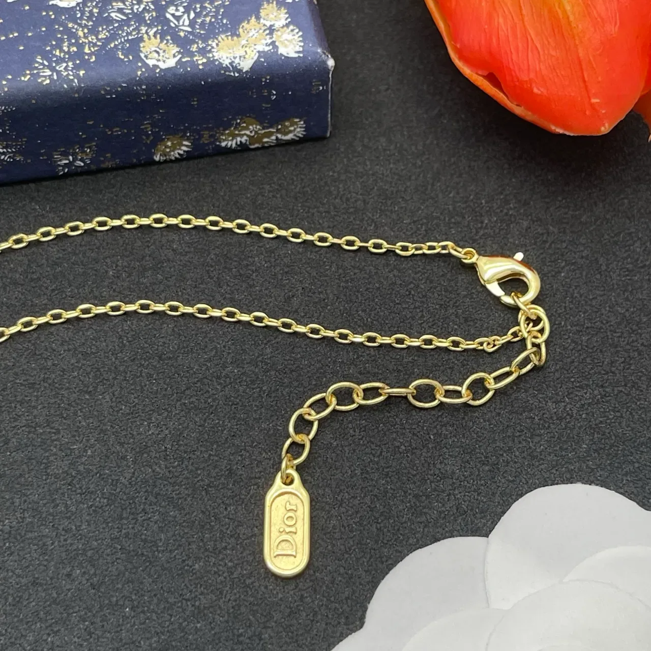 Dior Gold Silver Chain Oval Medallion Pendant Necklace 5