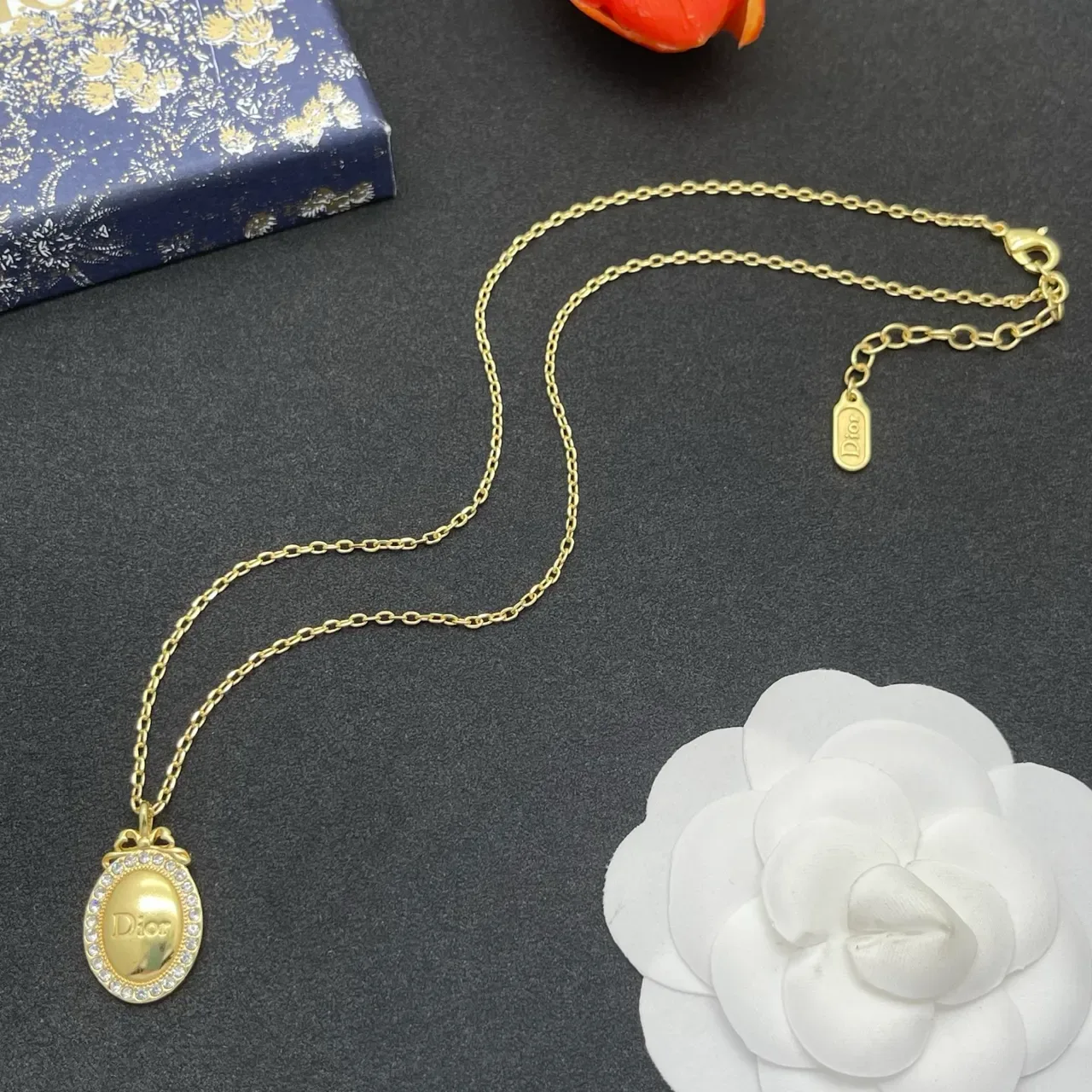 Dior Gold Silver Chain Oval Medallion Pendant Necklace 7