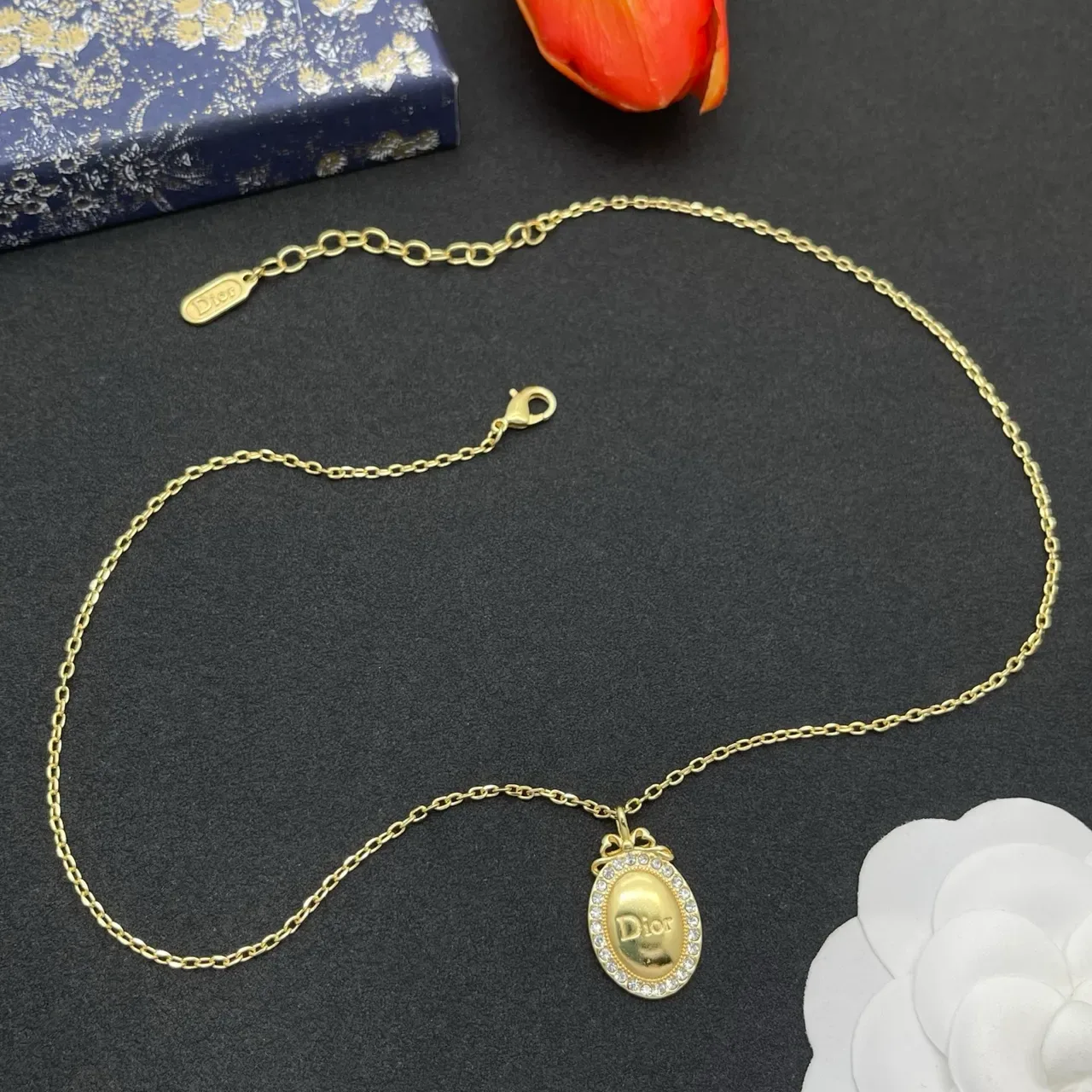 Dior Gold Silver Chain Oval Medallion Pendant Necklace 8