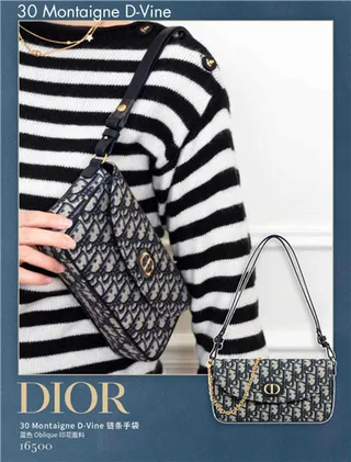 Dior Navy Beige Oblique Monogram Canvas Gold-Tone CD Logo Clasp Chain Bag 15