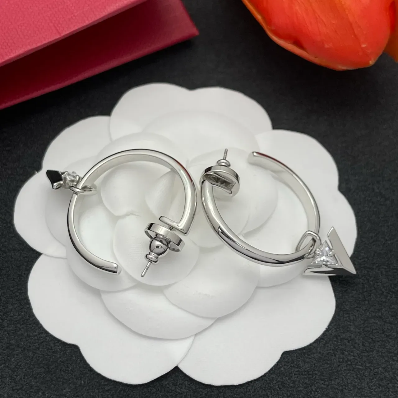 Silver Transparent Polished Hoop Earrings 5