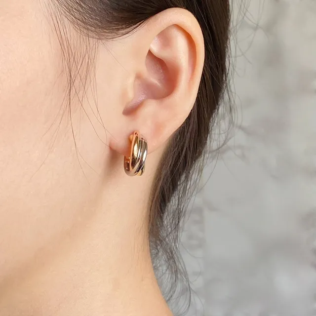 Tri-Tone Twisted Hoop Earrings 9