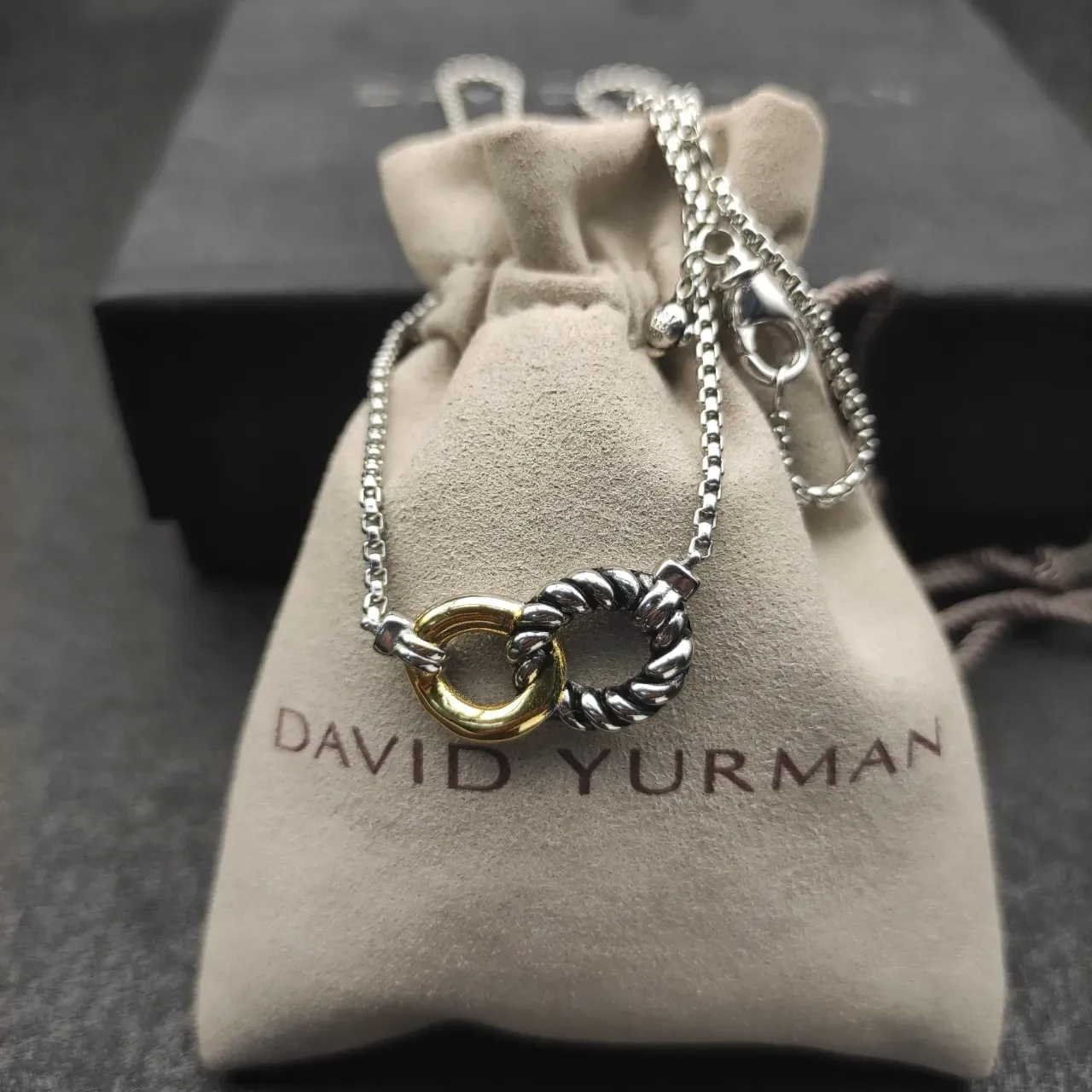 Two-Tone Interlocking Rings Pendant Necklace 4