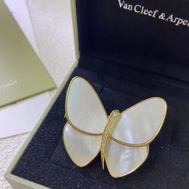 Broche à la silhouette de papillon en or blanc avec incrustation de nacre 4