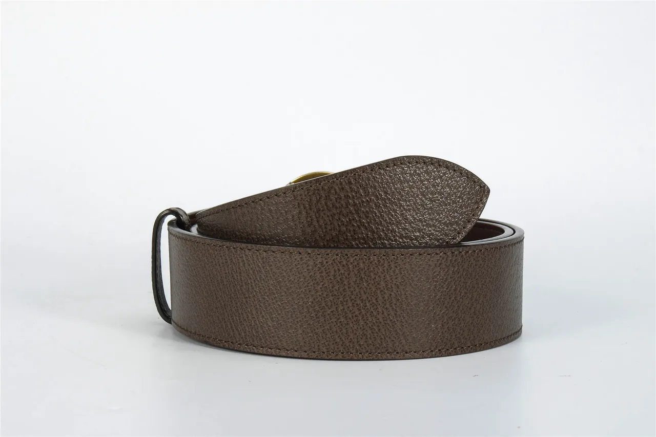 Ceinture Gucci GG Marmont cuir marron grainé 3