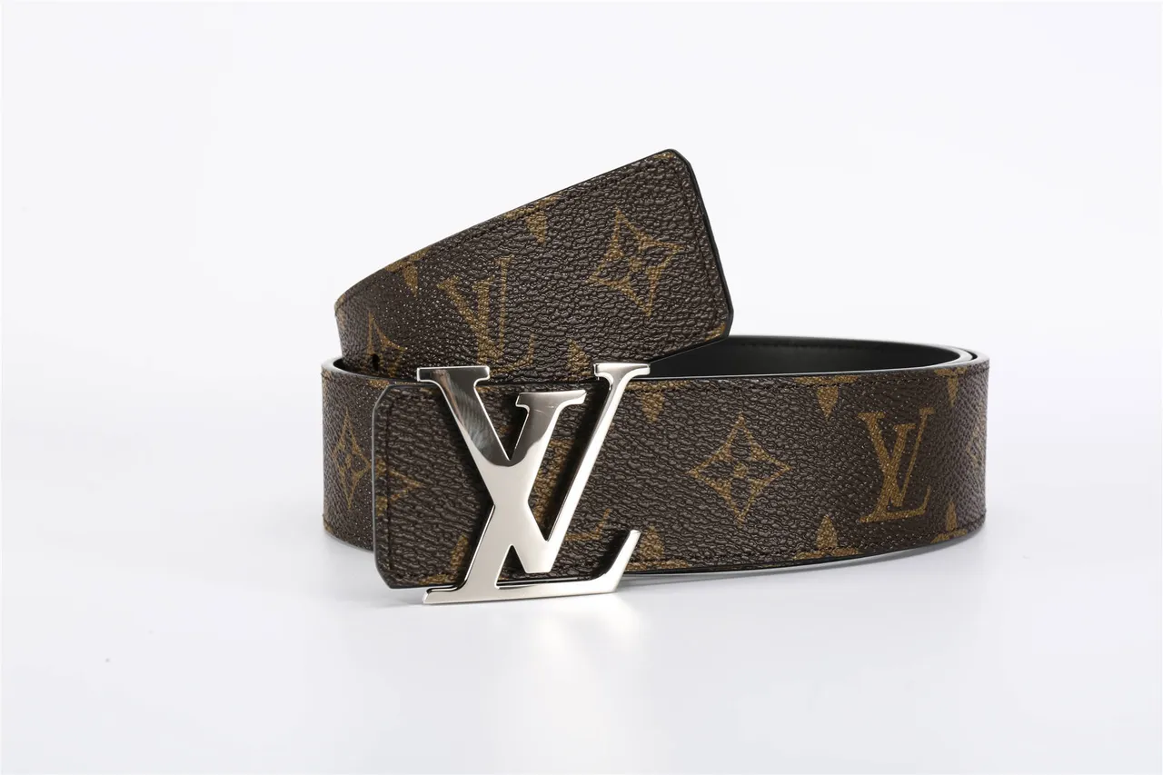 Louis Vuitton Brown Black Monogram Canvas Silver-Tone LV Buckle Leather Belt 5
