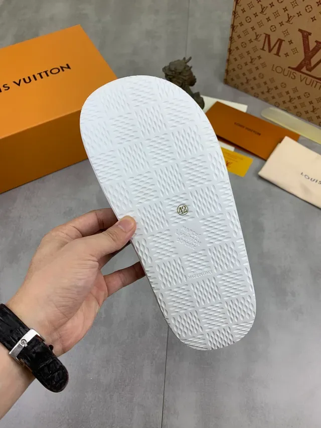 Louis Vuitton Monogram Denim Navy Slippers 4