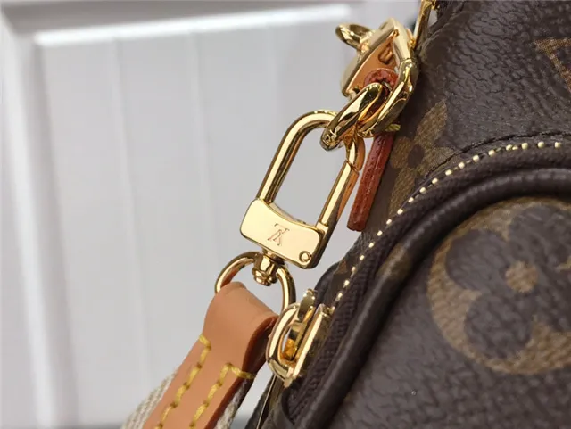 Louis Vuitton Multi Pochette Accessoires Brown Gold Monogram Canvas Chain Strap Messenger Bag 14