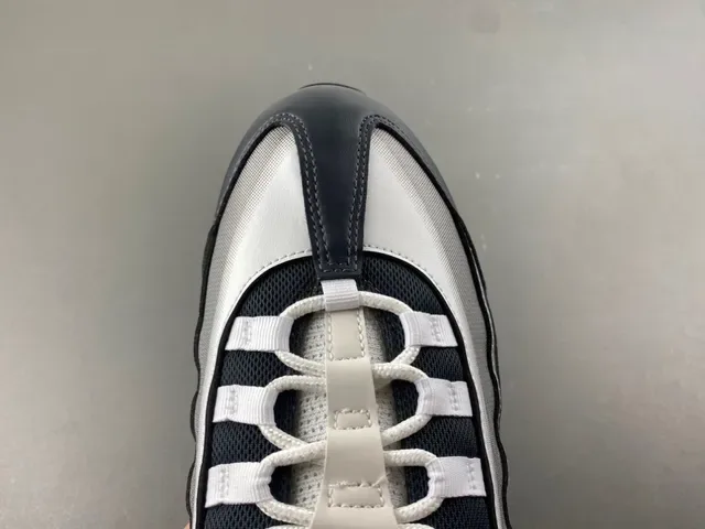 Nike Air Max 95 Argent Métallique et Noir Sneakers Lifestyle 5