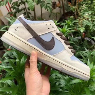 Nike Dunk Low Beige Light Blue Brown Lifestyle Sneakers