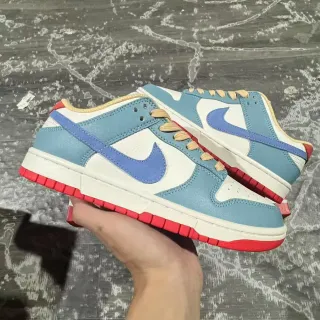Nike Dunk Low 多彩生活方式运动鞋