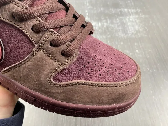 Chaussures de Skateboard Nike SB Dunk Low Bourgogne Marron 10