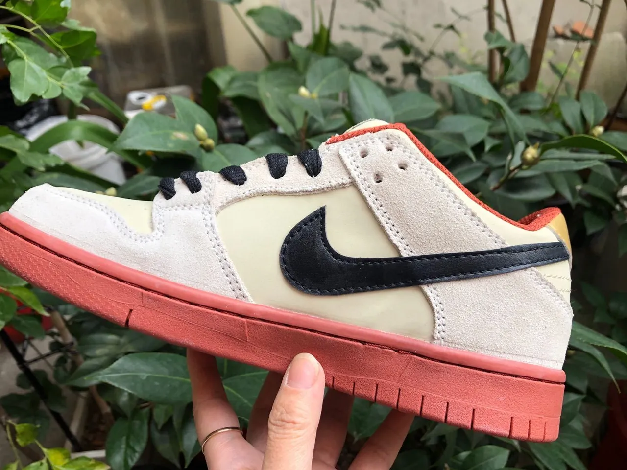 Nike SB Dunk Low Cream Black Coral 滑板鞋 2