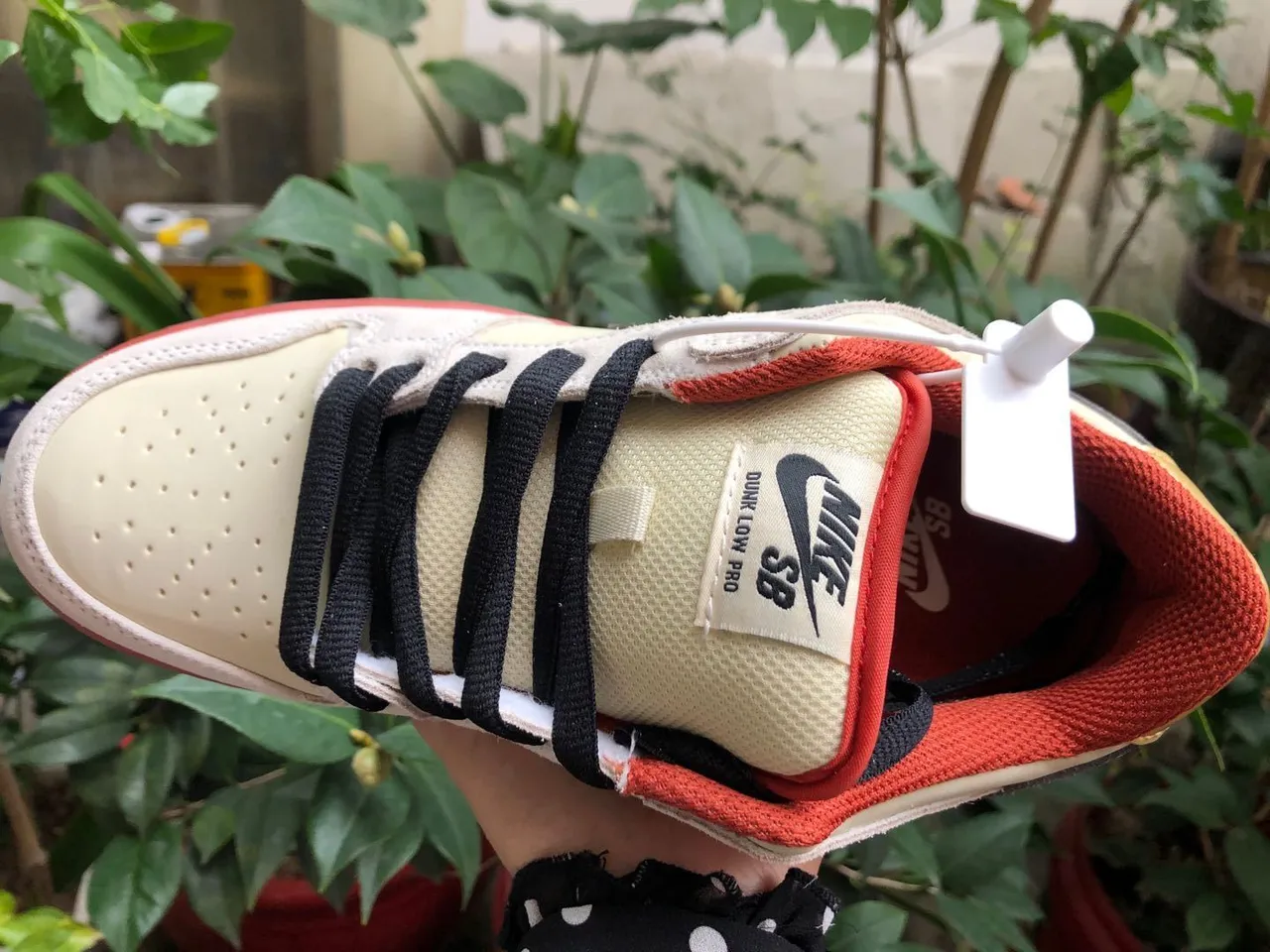 Nike SB Dunk Low Cream Black Coral 滑板鞋 3