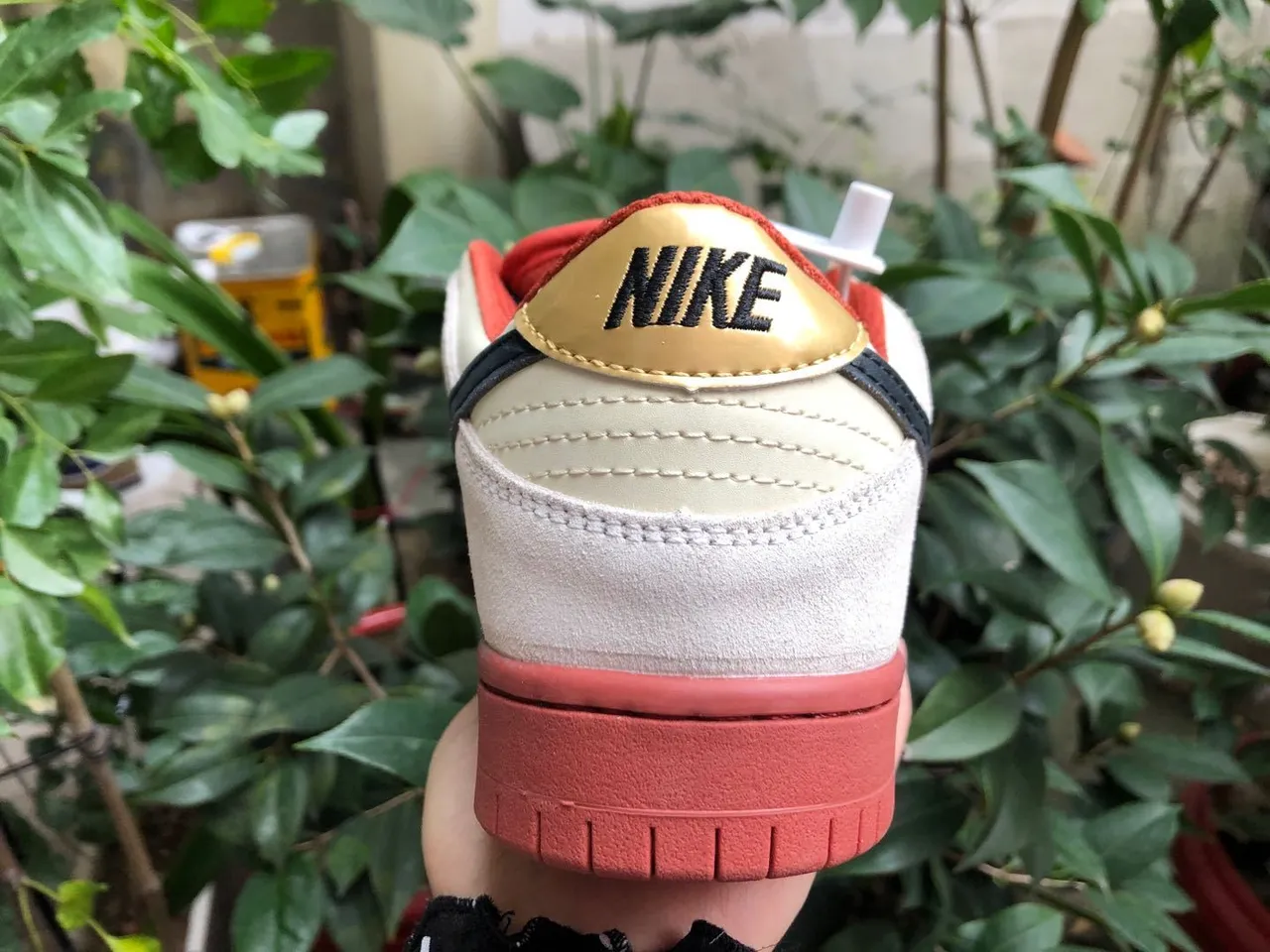 Nike SB Dunk Low Cream Black Coral 滑板鞋 4