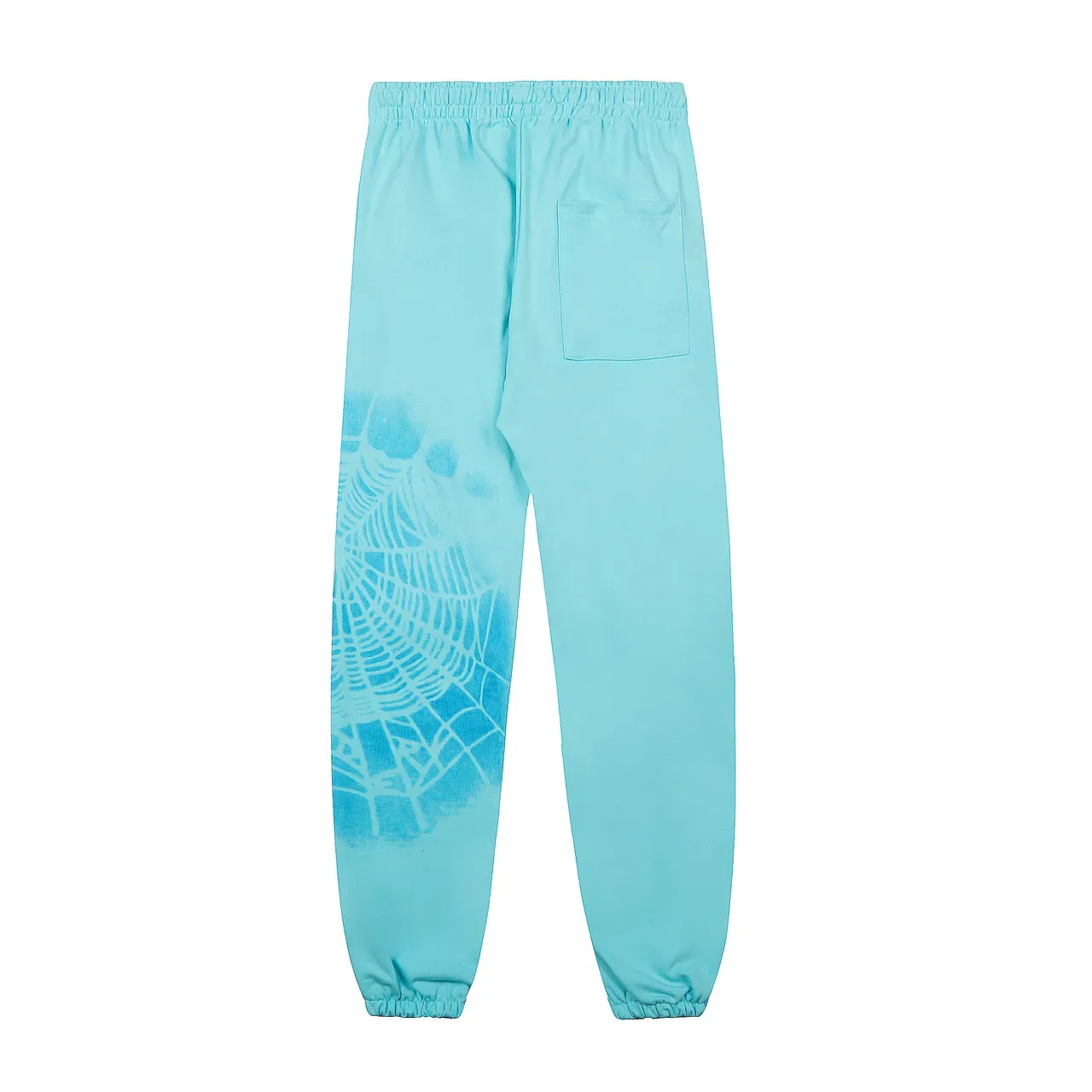 Sp5der Spiderweb Print Aqua ট্র্যাকস্যুট 3