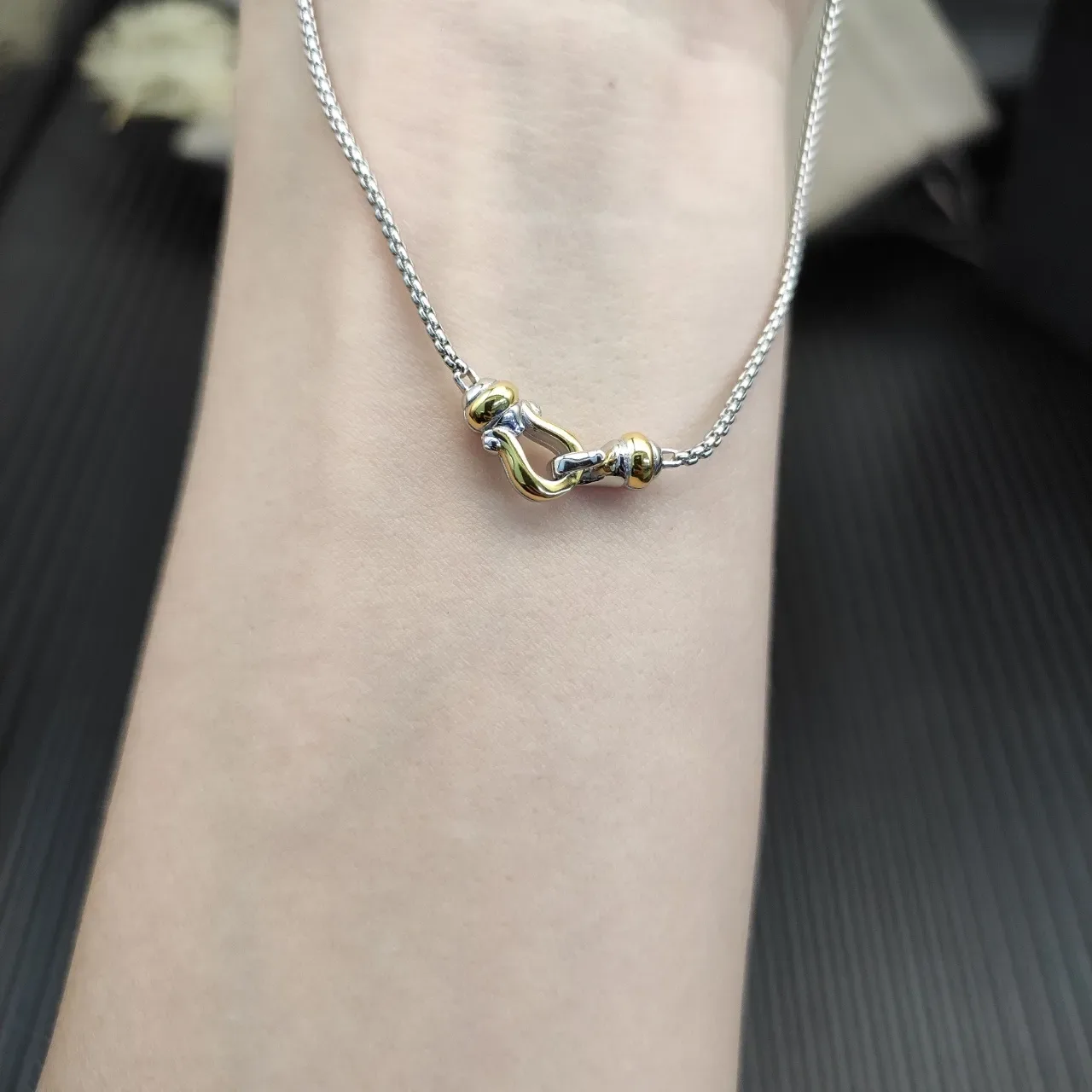 Tiffany & Co. HardWear Two-Tone Shackle Pendant Necklace 2